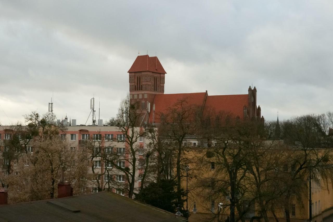 Wilhelmstadt Apartment 90M - Parking Stary Toruń 外观 照片